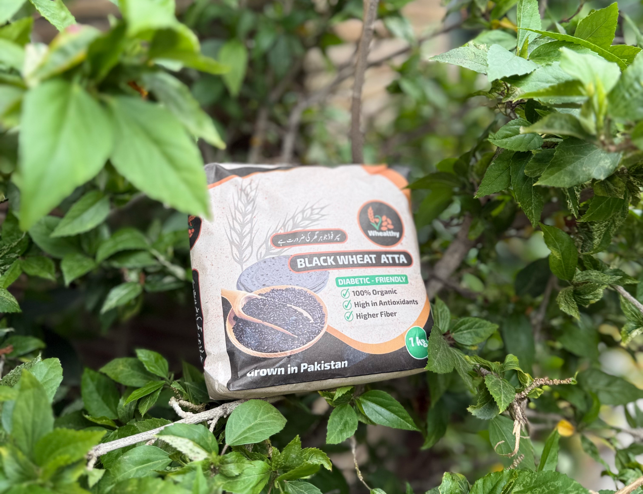 Black Wheat Atta – 100% Natural, High Fiber, and Easy to Digest