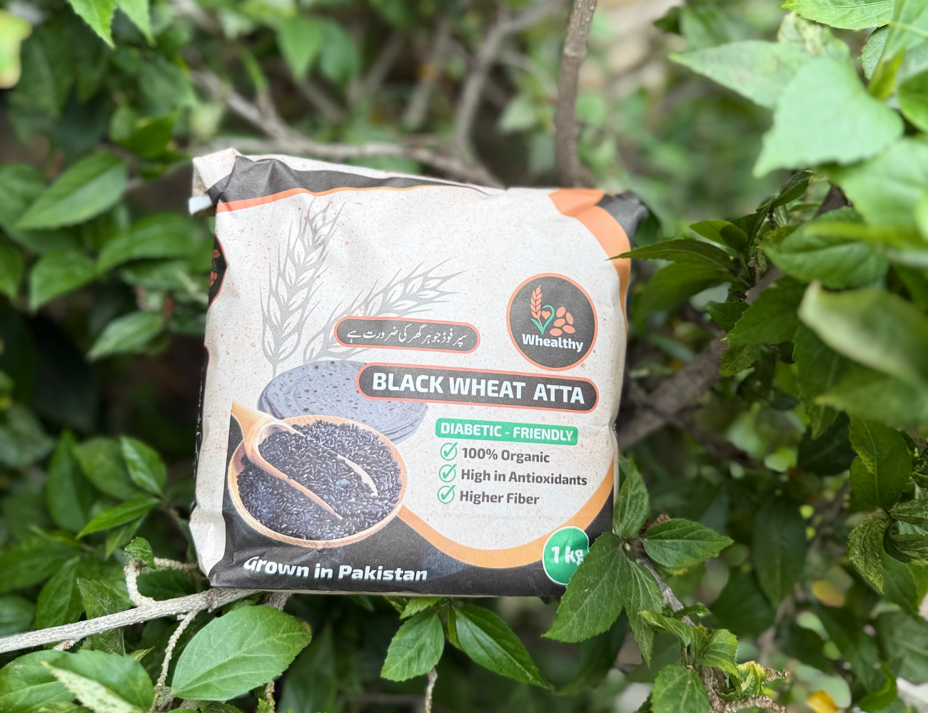 Black Wheat Atta – 100% Natural, High Fiber, and Easy to Digest